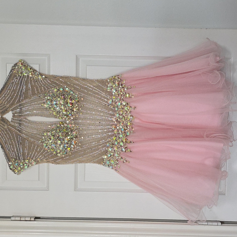 Embellished Pink Tulle Party Dress with Nude Beaded Bodice